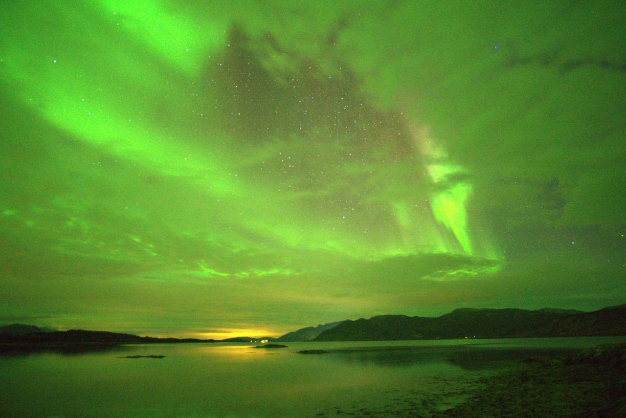 Off-the-grid On The Island Of Senja In Northern Norway Holiday home *